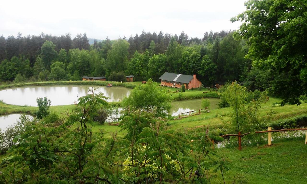 Villa Dolina 4 Stawow Krzywcza Exterior foto